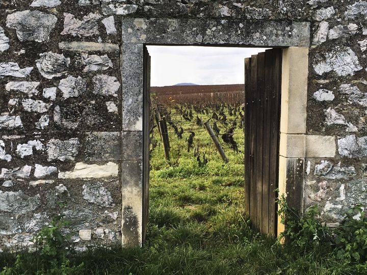 "Une Porte ouverte"
 (Cédric Klapisch / La Galerie Cinéma)