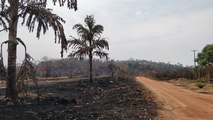 La route BR 364 porte les stigmates des incendies en Amazonie. (ERIC AUDRA / RADIO FRANCE)