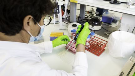 De nombreuses équipes scientifiques sont mobilisées en France pour comprendre le fonctionnement du virus Sars-CoV-2 et de la réponse immunitaire qu'il entraîne. (MATHIEU PATTIER/SIPA)