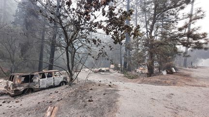 Le nord de la Californie ravagé par les flammes. La route de Berry Creek le 12 septembre 2020. (BENJAMIN  ILLY / FRANCEINFO / RADIO FRANCE)