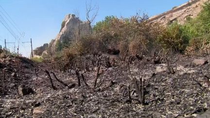 Bouches-du-Rhône : un incendie à Tarascon après le passage d'un train