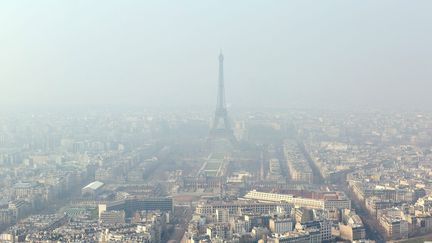 &nbsp; (Déçue de l'inaction des politiques et la pression toujours plus forte des industriels, l'ONG Ecologie Sans Frontières dépose une plainte contre X pour pollution de l'air, rappellant que trop de vies sont en péril. © Maxppp /Jean Pierre N'Guyen)