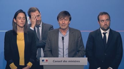 Nicolas Hulot s'exprime à l'issue du Conseil des ministres, le 7 novembre 2017. (CAMERA SUBJECTIVE)