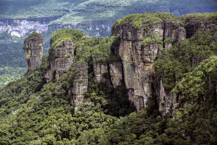 Le paysage environnant : la jungle amazonienne de la Serrania de Chiribiquete.
 (GUILLERMO LEGARIA / AFP)