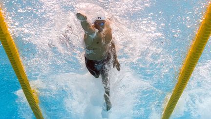 Florent Manaudou n'a pas forcé pour dominer les séries du 50m libre (FRANCOIS XAVIER MARIT / AFP)