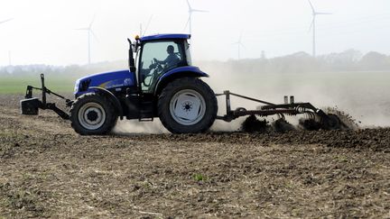 Salon de l'Agriculture : la star, "Fine", la Bretonne Pie Noir