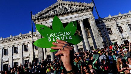 Des partisans de la loi sur la l&eacute;galisation du cannabis manifestent devant le Parlement uruguayen, le 10 d&eacute;cembre 2013, &agrave; Montevideo (Uruguay). (PABLO PORCIUNCULA / AFP)