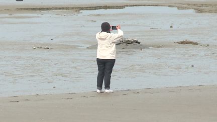 Les grandes marées ont leur public au Crotoy (FRANCE 3)