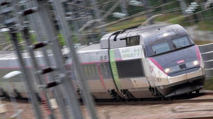 Un TGV dans la Sarthe, le 29 août 2024. (JEAN-FRANCOIS MONIER / AFP)