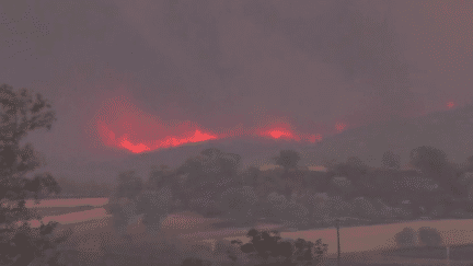 Incendies en Grèce : 18 migrants, pris au piège dans les flammes, ont perdu la vie (France 2)