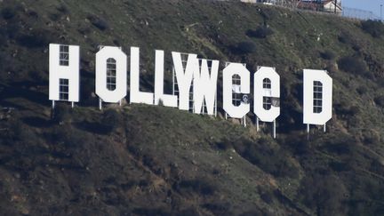 Les lettres "Hollywood" détournées en "Hollyweed", le 1er janvier 2017 en Californie.&nbsp; (GENE BLEVINS / AFP)