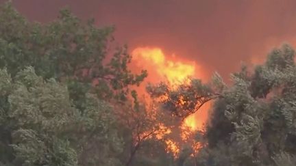 Une très grande partie de l’Europe, de la Grande-Bretagne à l'Espagne en passant par la Grèce, est frappée par des incendies, mercredi 20 juillet. L’ONU dit espérer une "prise de conscience" des dirigeants européens face aux vagues de chaleur de plus en plus fréquentes.