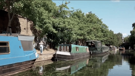 Royaume-Uni : les canaux de Londres, paradis préservé de la capitale britannique (France 2)