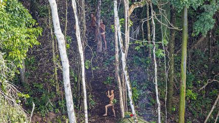 Sans contact régulier avec la société industrialisée ou&nbsp;d'autres tribus, les habitants ne sont pas habitués à une telle intrusion sur leur territoire. Ici, l'un d'entre eux se prépare à riposter face à l'hélicoptère de Ricardo Stuckert. (RICARDO STUCKERT)