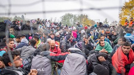 L'Autriche et la Slovénie sont devenus des points de transit clés pour les dizaines de milliers de réfugiés et de migrants qui cherchent à rejoindre l'Europe du Nord avant l'hiver. (RENE GOMOLJ / AFP)