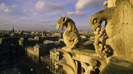 Les gargouilles de Notre-Dame de Paris en mars 2021. (ROSINE MAZIN / MAZIN ROSINE)