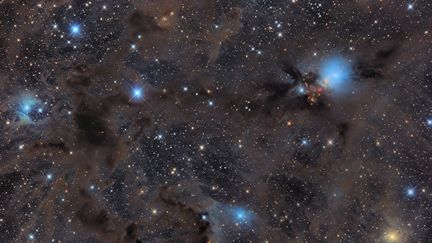 Le Tchèque Pavel Pech avec&nbsp;Perseus Molecular Cloud&nbsp;a remmprté le deuxième prix&nbsp;dans la catégorie "Etoiles et nébuleuse". La&nbsp;constellation de Persée a été prise depuis le parc national de Sumava,&nbsp;en République tchèque. (PAVEL PECH)