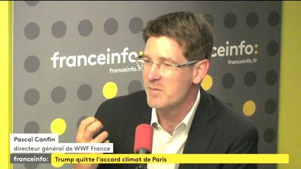 Pascal Canfin, directeur général de WWF France, le 2 juin 2017. (FRANCEINFO)