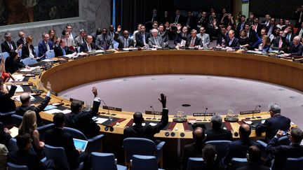 Le Conseil de s&eacute;curit&eacute; des Nations unies a ent&eacute;rin&eacute; l'accord sur le nucl&eacute;aire iranien, le 20 juillet, &agrave; New York (Etats-Unis).&nbsp; (JEWEL SAMAD / AFP)