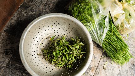 Rau ram ou coriandre vietnamienne, un ingrédient de la cuisine asiatique, plus parfumé que la coriandre traditionnelle.&nbsp; (GETTY IMAGES)