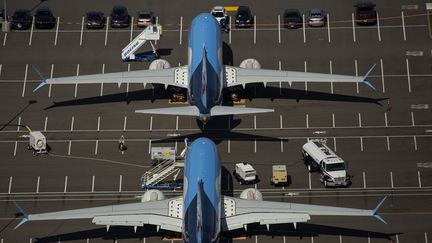 Des Boeing 737 MAX à l'aéroport de Seattle (Etats-Unis), le 11 février 2020. (DAVID RYDER / GETTY IMAGES NORTH AMERICA / AFP)