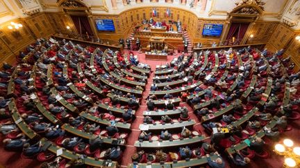 Une session du Sénat, le 14 avril 2021 à Paris. (SANDRINE MARTY / HANS LUCAS)