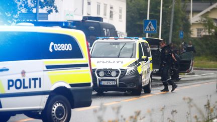 La police intervient après une fusillade à la mosquée al-Nour de Baerum, en Norvège, le 10 août 2019. (TERJE PEDERSEN / NTB SCANPIX / AFP)