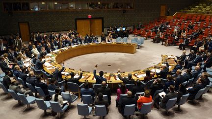 Le Conseil de sécurité de l'ONU, le 21 septembre 2017. (DON EMMERT / AFP)