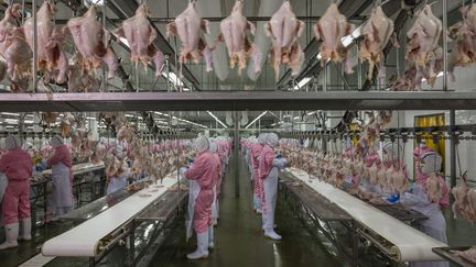 Une usine de transformation de poulets à Jiangsu (Chine), le 16 juin 2016.  (GEORGE STEINMETZ / COSMOS)