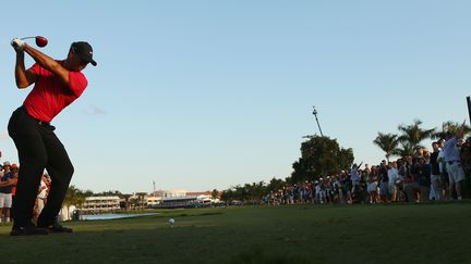 Tiger Woods n'a plus joué depuis un mois, opéré pour des douleurs au dos (MIKE EHRMANN / GETTY IMAGES NORTH AMERICA)