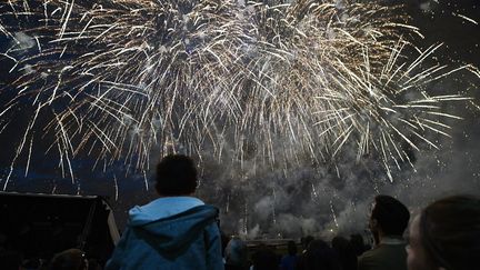 Feu d'artifice à Marcq-en-Barœul (Nord), le 14 juillet 2015. (MAXPPP)