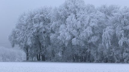 Coup de froid : 20 départements placés en vigilance orange