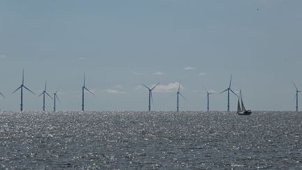 Des éoliennes en mer, en Loire-Atlantique, le 30 septembre 2022. (DAMIEN MEYER / AFP)