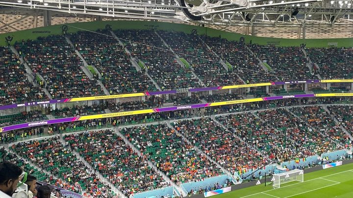 En vert, toutes les places laissées vides lors du match de la Coupe du monde entre le Sénégal et les Pays-Bas au stade Al-Thumama, le 21 novembre 2022. (Denis Ménétrier)