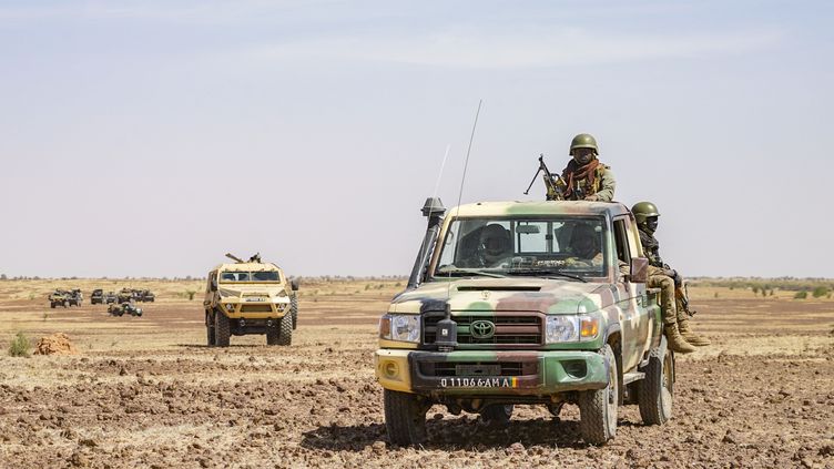 Un soldat malien, à Gourma, le 16 octobre 2021.&nbsp; (FREDERIC PETRY / HANS LUCAS / AFP)