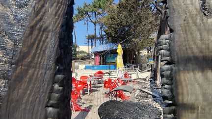 Le camping des Flots bleus détruit par les flammes près de la dune du Pilat (Gironde), le 21 juillet 2022.
 (NICOLAS MATHIAS / RADIO FRANCE)