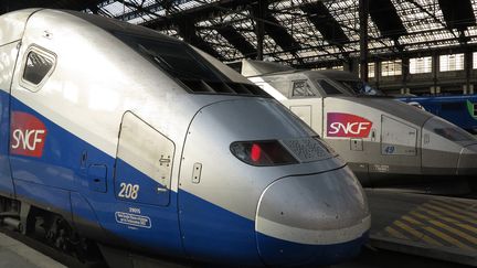 Deux trains attendent en gare de Lyon, à Paris, le 12 octobre 2016. (PASCAL DELOCHE / GODONG / AFP)