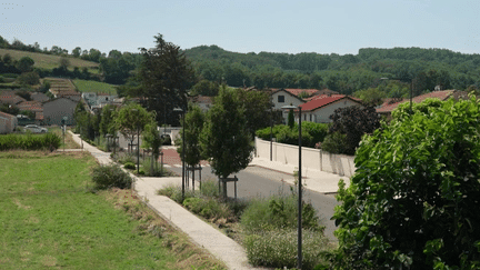 Fortes chaleurs : la canicule sévit aussi dans les campagnes (France 2)