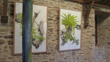 Une oeuvre de l'exposition "Forest Art Project" à Caen.&nbsp; (FRANCEINFO)