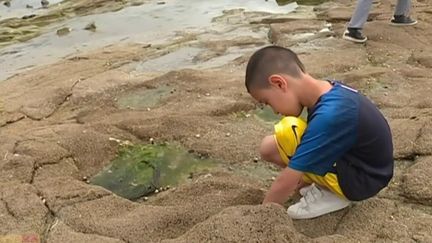 Permettre aux enfants de partir en colonie tout en apprenant, c’est le principe des "vacances apprenantes". Elles sont proposées par le gouvernement pour que les enfants puissent rattraper le retard accumulé pendant le confinement. (France 3)