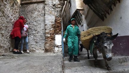 Un éboueur conduit un âne dans la vieille ville d'Alger, connue sous le nom de "Casbah", le 22 mai 2017. (RYAD KRAMDI / AFP)