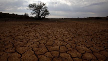 &nbsp; (Champ asséché dans une ferme d'Afrique du Sud prés d'Aberdeen © Reuters)