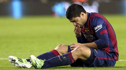 L'attaquant du FC Barcelone,&nbsp;Luis Suarez, lors d'un match du championnat espagnol au Camp Nou le 7 d&eacute;cembre 2014. (ALBERTO ESTEVEZ / EFE / SIPA)