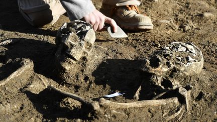 Xavier Perrot, du Bureau d'investigations archéologiques Hades, montre des restes de&nbsp;squelettes de la nécropole à Bordeaux (Gironde), le 6 décembre 2016. (GEORGES GOBET / AFP)