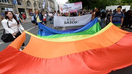 Des manifestants tiennent le drapeau LGBT+ lors du défilé de la Gay Pride à Bordeaux, le 4 juin 2016 (photo d’illustration). (MEHDI FEDOUACH / AFP)