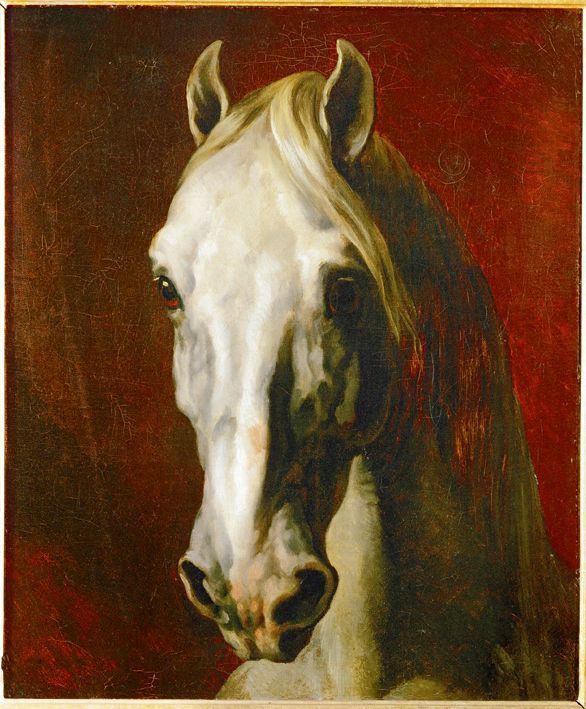 Tête de cheval blanc de Théodore Géricault 1791-1824
 (Louvre)