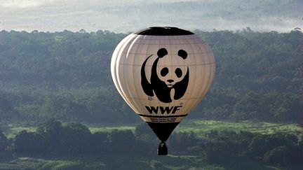 Un ballon dirigeable du WWF survole l'Amazonie pour constater l'ampleur de la déforestation, le 28 décembre 2006 (Illustration). (EVARISTO SA / AFP)