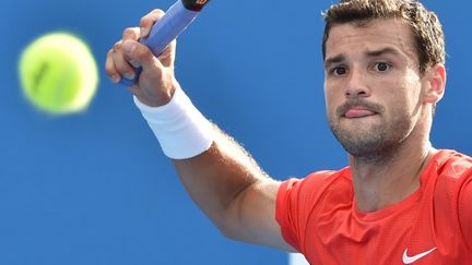 Le Bulgare Grigor Dimitrov (PAUL CROCK / AFP)