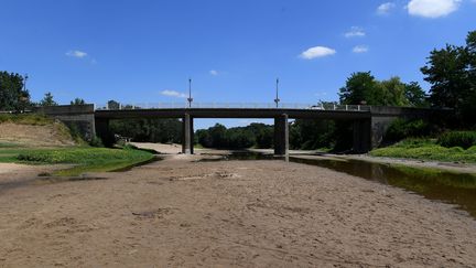 Le Louet près de Rochefort-sur-Loire (Maine-et-Loire) n'est plus qu'un filet d'eau, le 15 juillet 2019. (MAXPPP)