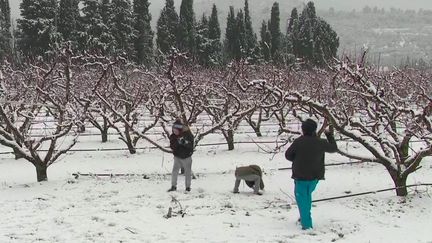 Intempéries : la tempête Filoména est en train de toucher les Pyrénées-Orientales